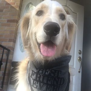 Meet your Posher, Norma